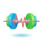 Fitness, Wellness & Personal Trainers